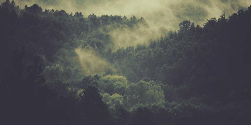 甘肃学区房与学位锁定政策全解析：兰州、天水等市如何规定？对购房者影响几何？