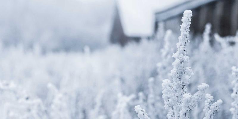 甘肃学区房产权纠纷案例解析：购买后学位被占用如何处理？