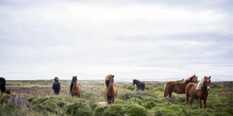 甘肃学区房持有周期全解析：把握最佳转手时机与保值策略
