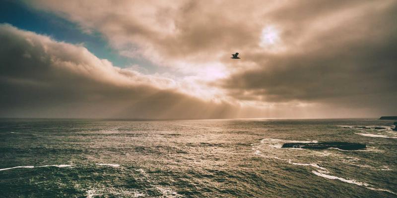 甘肃学区房深度解析：教育地产的价值逻辑与理性选择