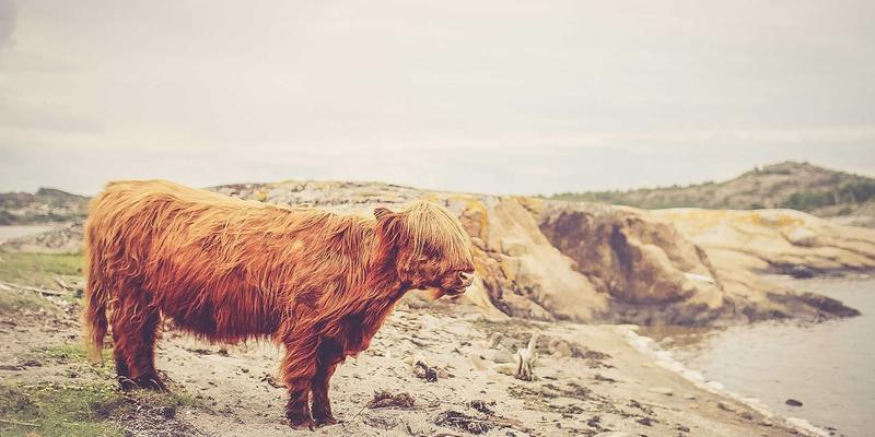 甘肃学区房深度解析：教育楼盘选择策略与最新市场信息