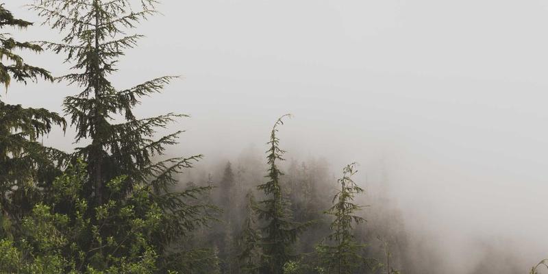 甘肃学区房深度解析：教育资源配置与置业策略全指南