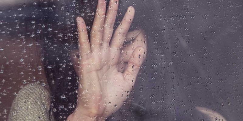 甘肃学区房租赁市场观察：租售同权政策下，租房上名校的现实可能性与挑战