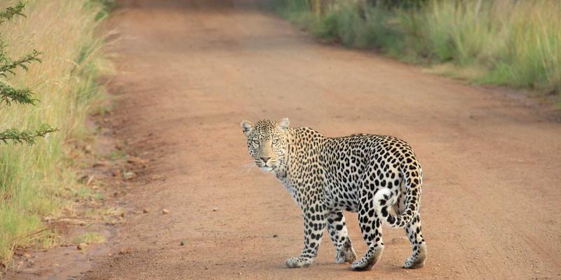 甘肃教育均衡化浪潮：集团化办学如何冲击与重塑传统学区房价值